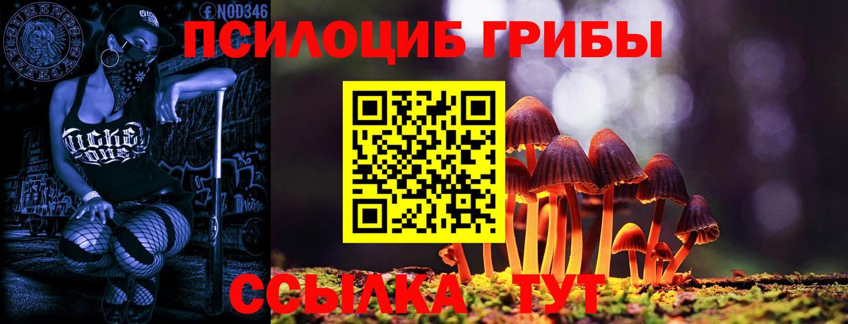 Псилоцибиновые грибы мухоморы Ревда