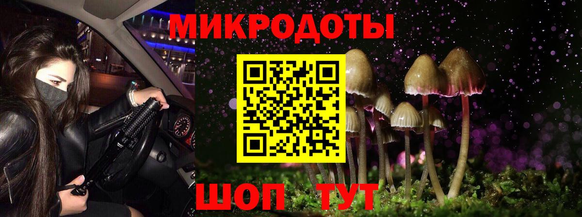 Псилоцибиновые грибы GOLDEN TEACHER  Галлюциногенные грибы GOLDEN TEACHER  Вход с VPN  Ревда 